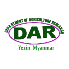 Dar